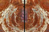 Tall, Arizona Petrified Wood Bookends - Red & Purple #158879-2